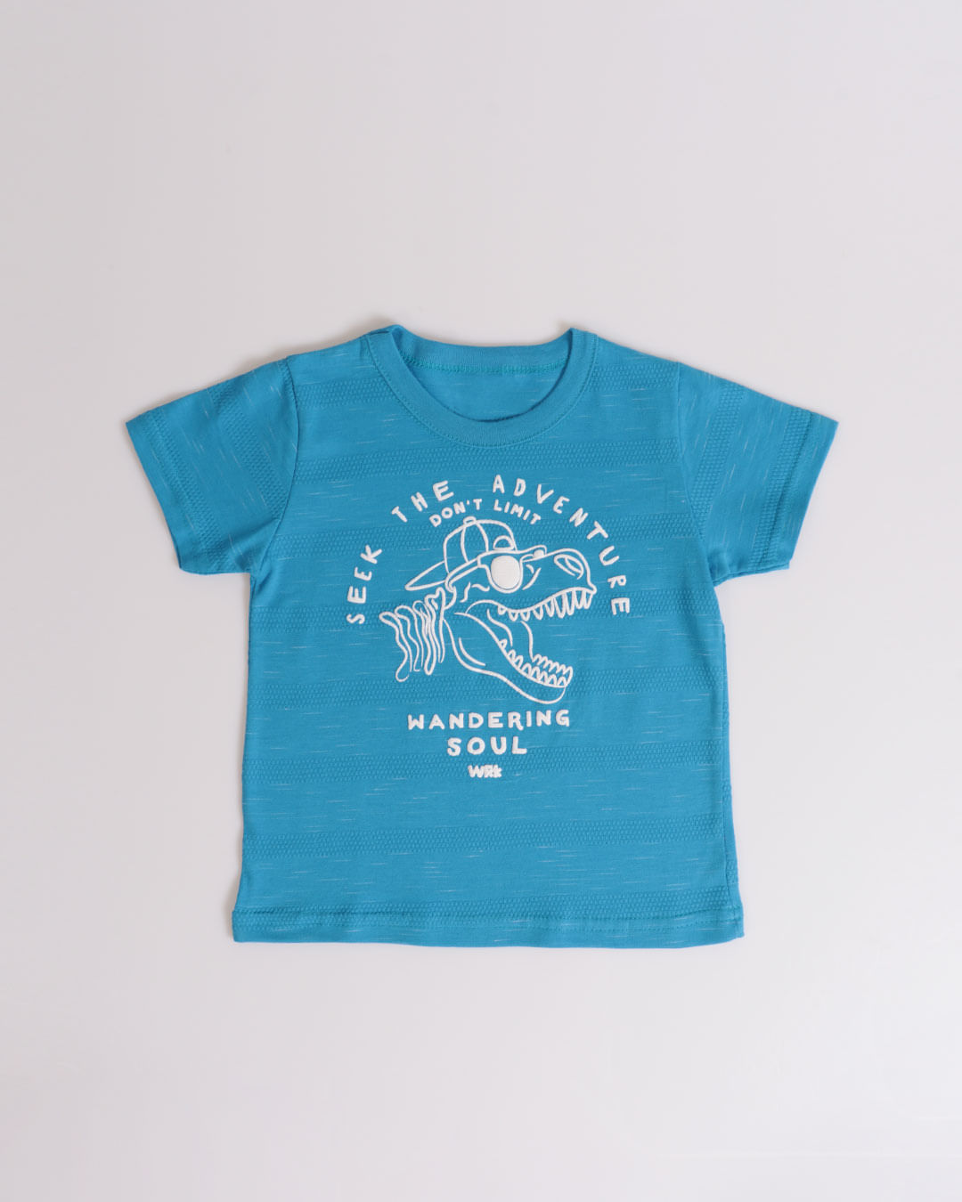 Camiseta-Mc-51042-Dino-M13---Azul-Claro
