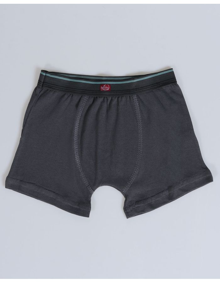 Cueca-Boxer-0014-Infantil-M48---Cinza-Escuro