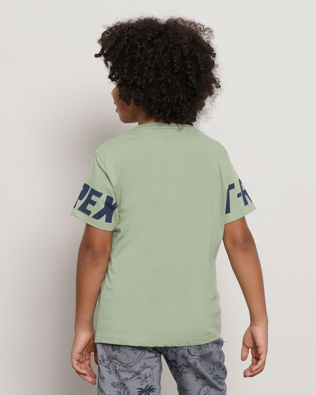 Camiseta-03270300-Mc-M-410-Dino---Verde-Claro