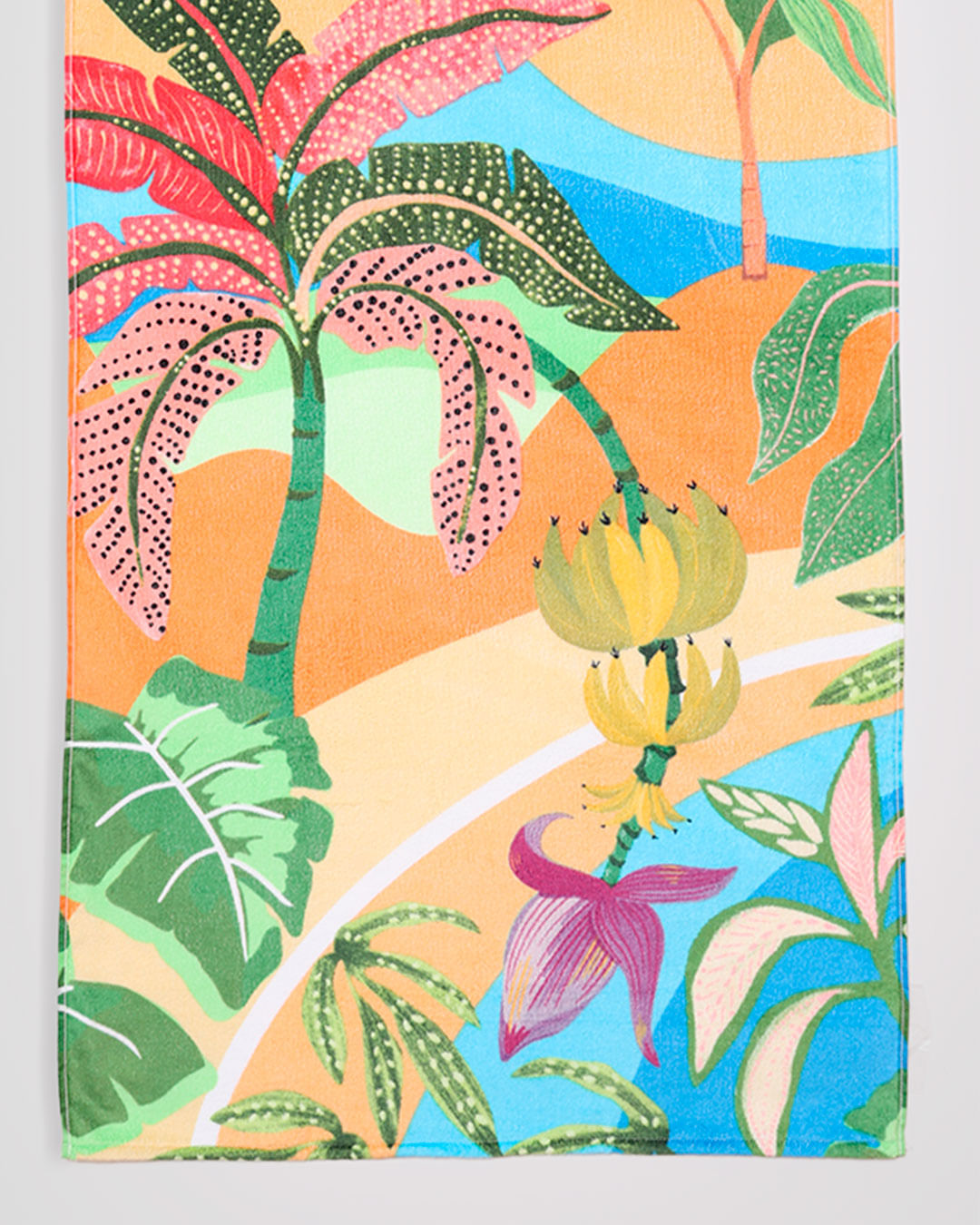 Toalha-Praia-Veludo-Af958-70x140-Tropica---Estampado-Outros