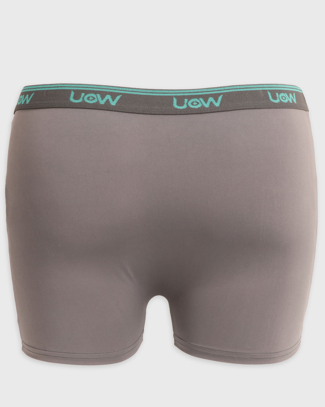 Cueca-Microfibra-Plus-Lisa-Ref-3922---Cinza-Claro