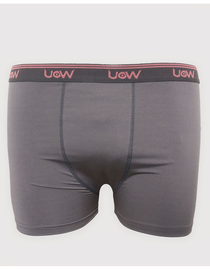 Cueca-Microfibra-Plus-Lisa-Ref-3922---Mescla-Escuro