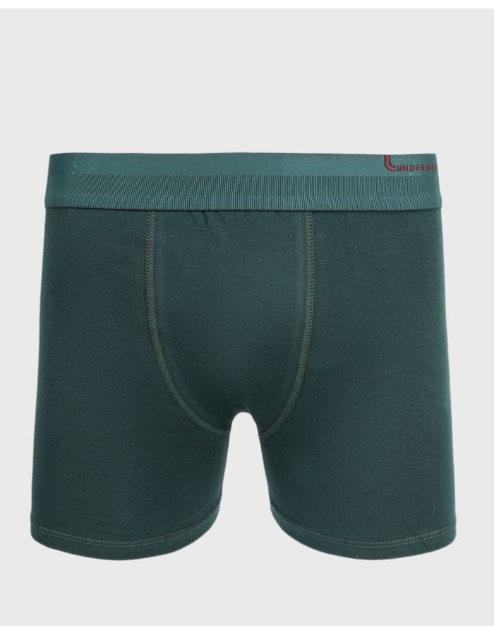 Cueca-Boxer-Alg-784-054---Verde-Medio