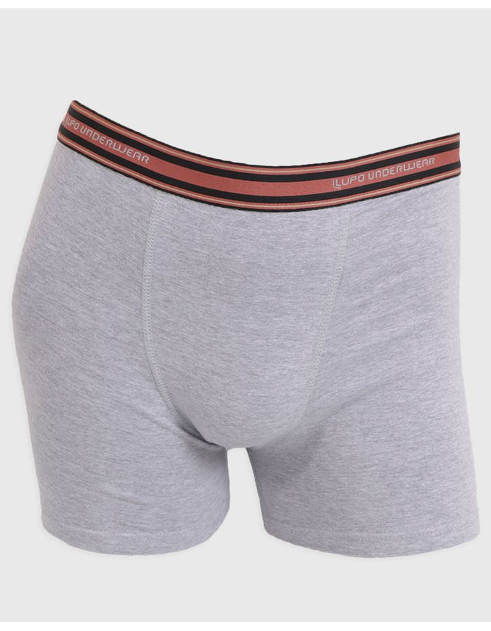 Cueca-523003-Boxer-Algcos-Elastico---Mescla-Medio