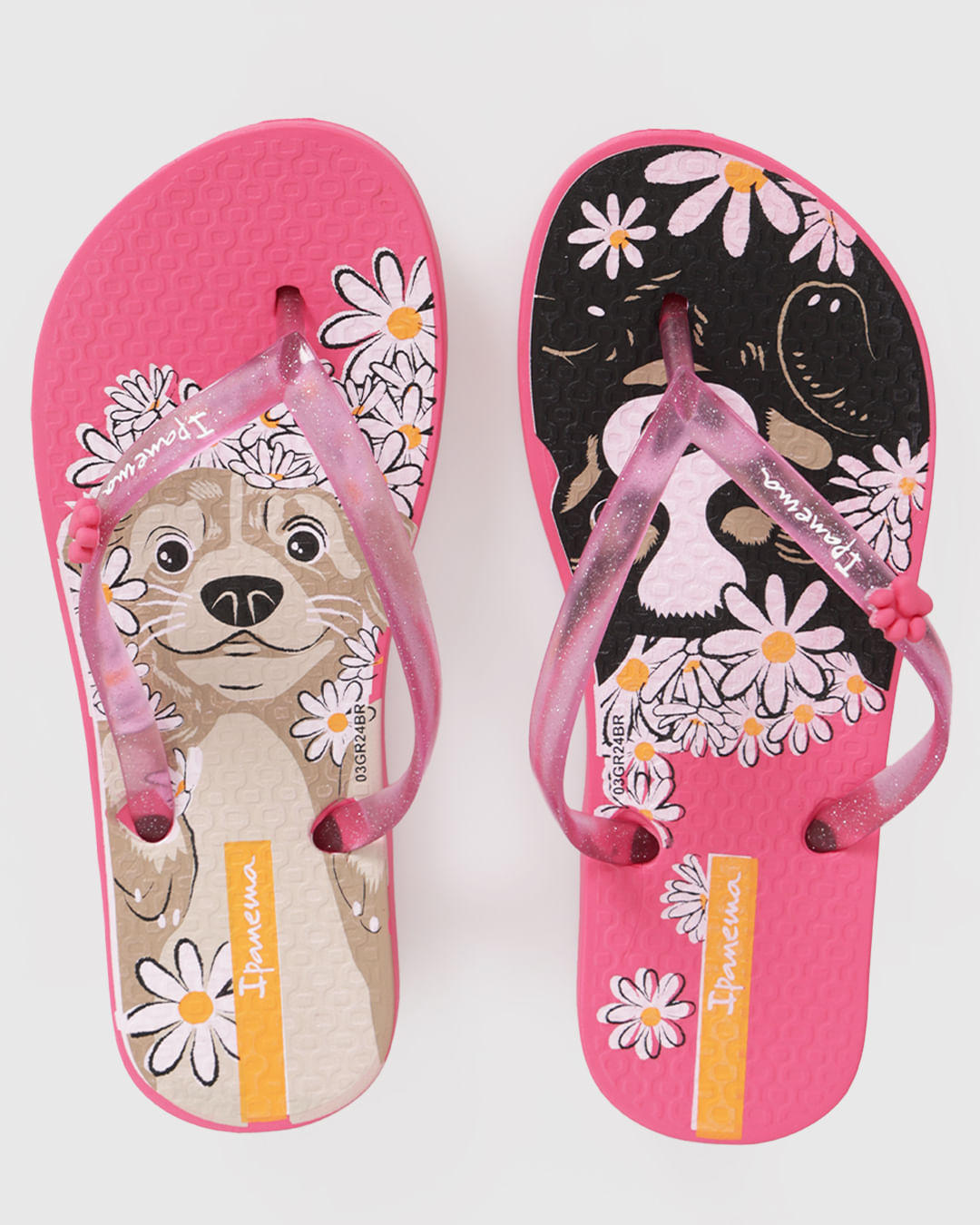 Chi-Infa-26836-Bc642-Rosa-Pets---Rosa