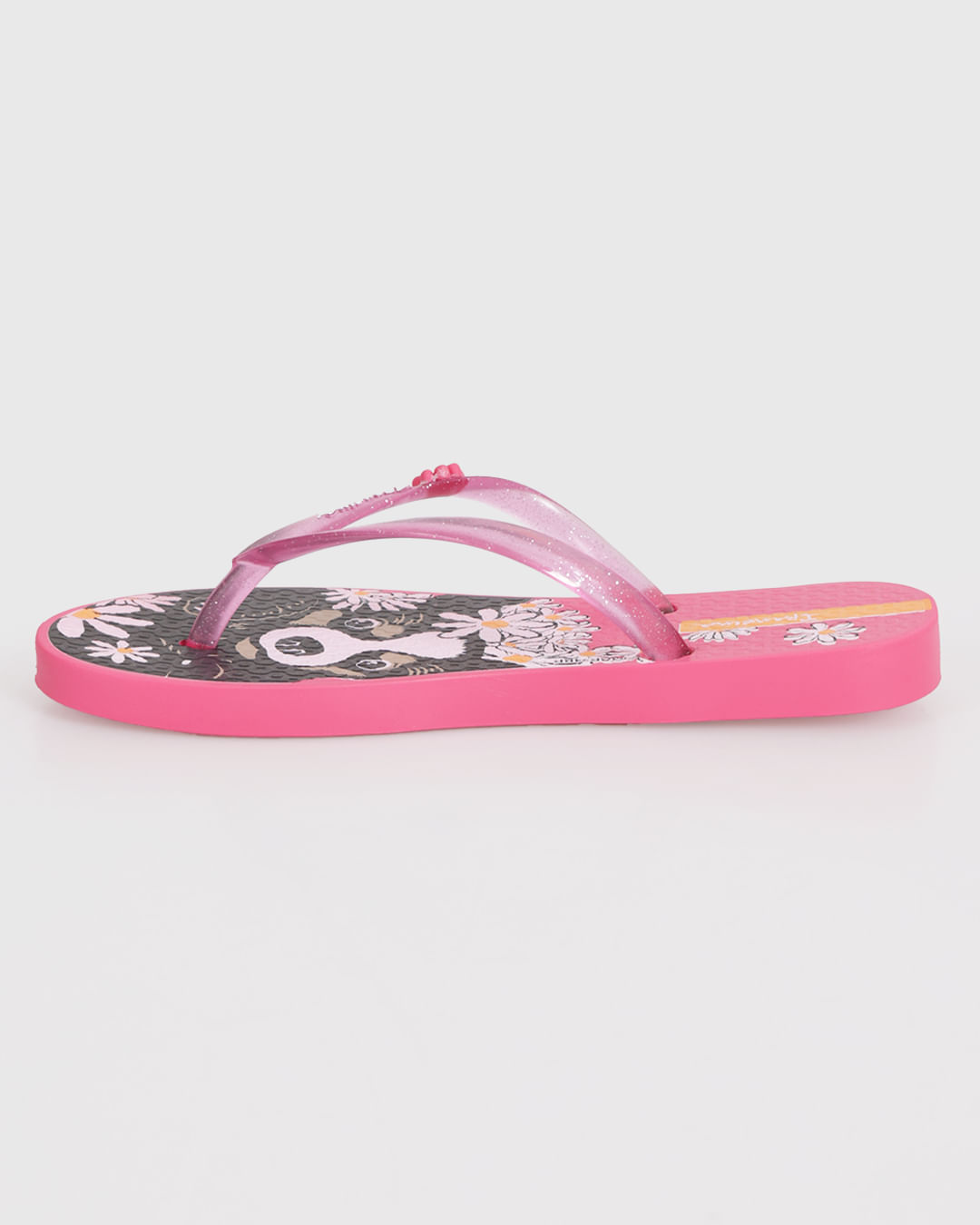 Chi-Infa-26836-Bc642-Rosa-Pets---Rosa