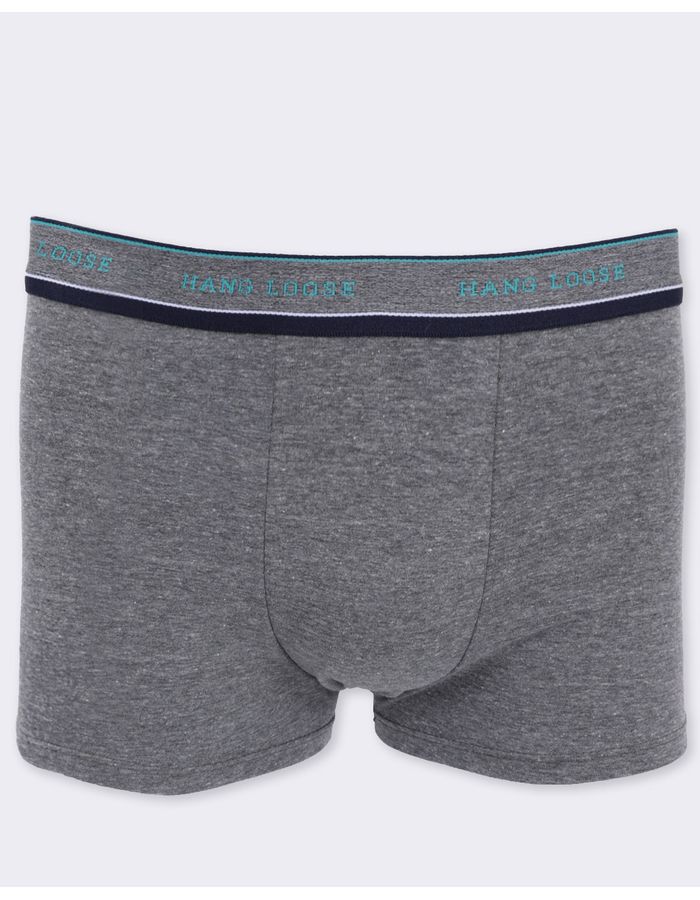 Cueca-Boxer-Alg-Hl132e---Cinza