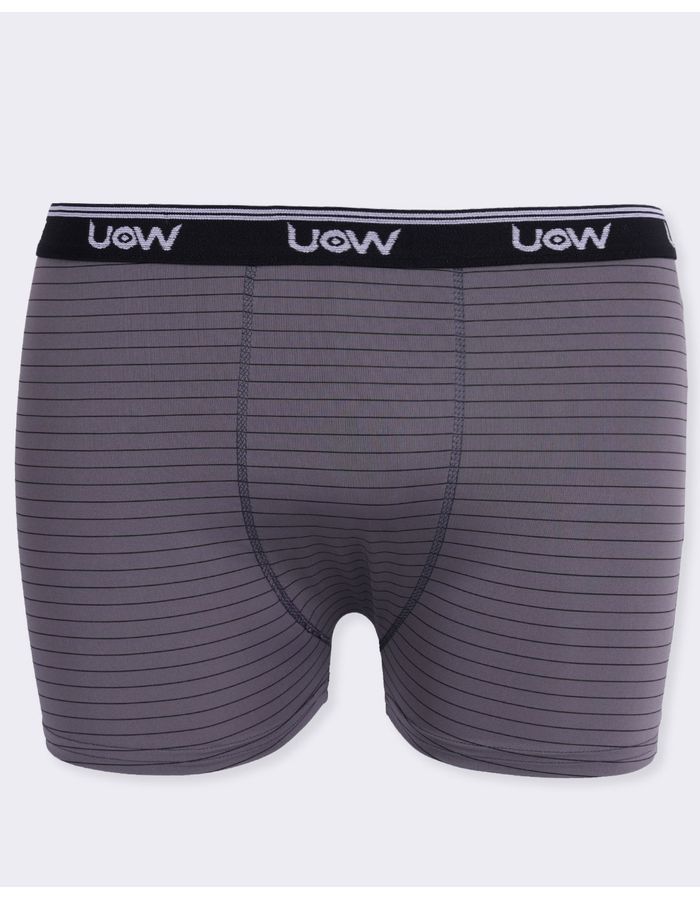 Cueca-Microfibra-Plus-Listra-Ref-3452---Mescla-Listrado