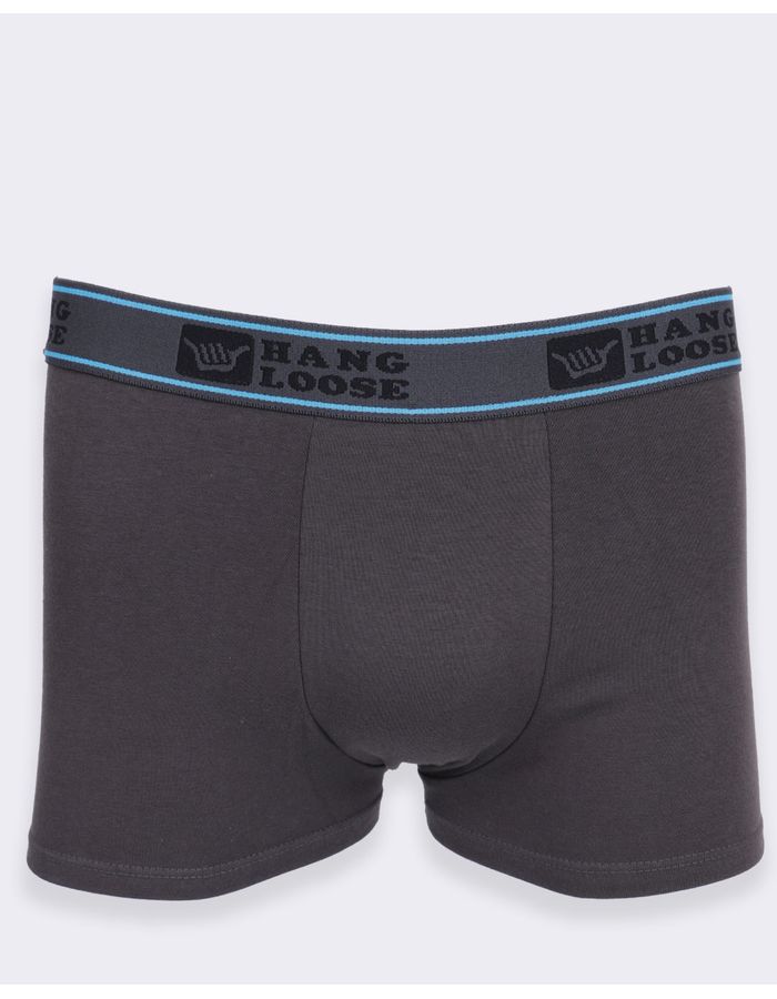 Cueca-Boxer-Alg-Hl130e---Cinza