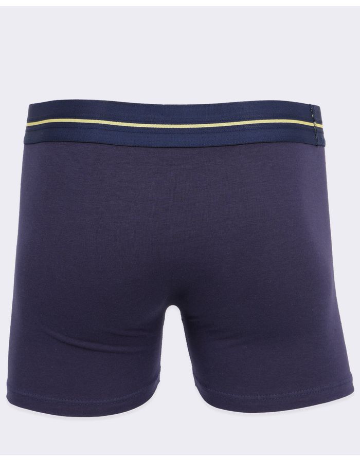 Cueca-Boxer-Alg-784-056---Marinho