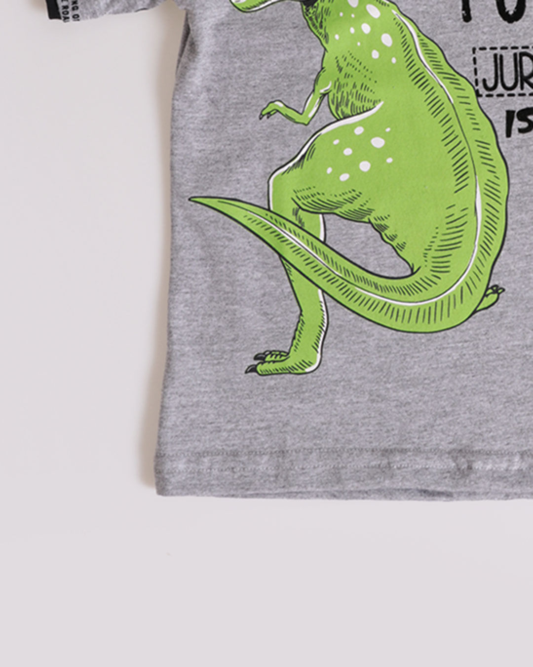 Camiseta-Mc-Tro564-Dino-Masc-13---Cinza-Claro