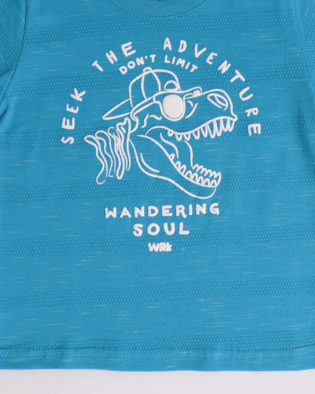 Camiseta-Mc-51042-Dino-M13---Azul-Claro
