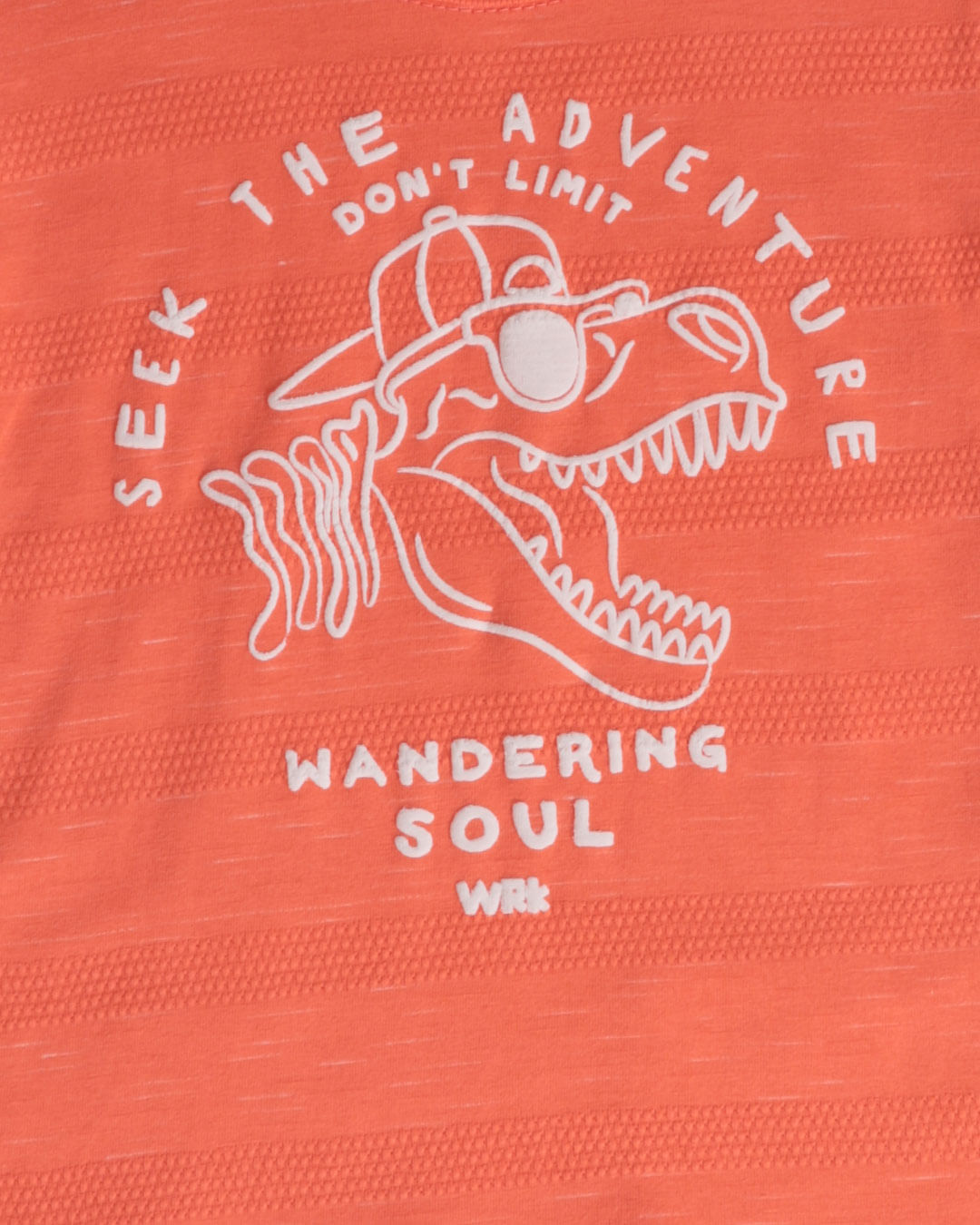 Camiseta-Mc-51042-Dino-M13---Laranja-Medio