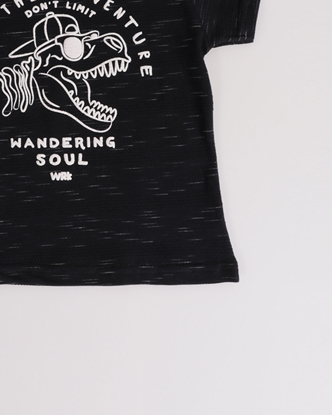 Camiseta-Mc-51042-Dino-M13---Preto