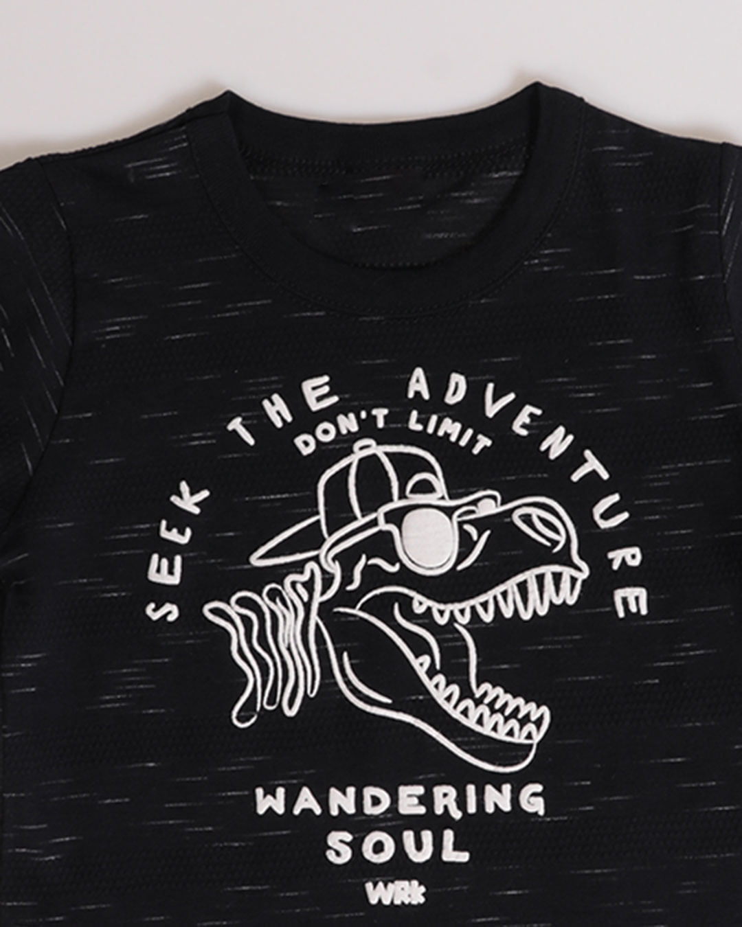 Camiseta-Mc-51042-Dino-M13---Preto