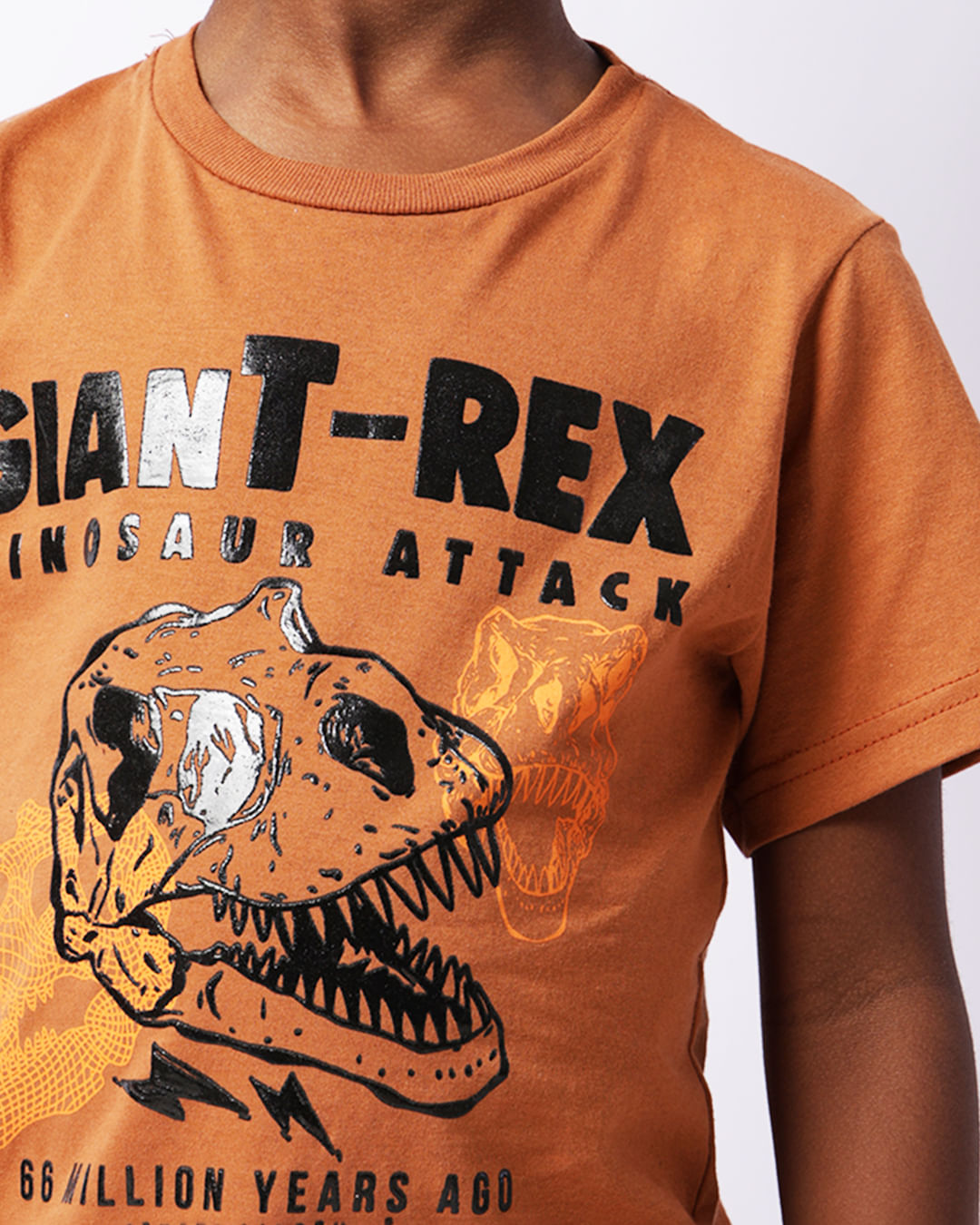Camiseta-4454-Mc-M-410-Dino---Marrom
