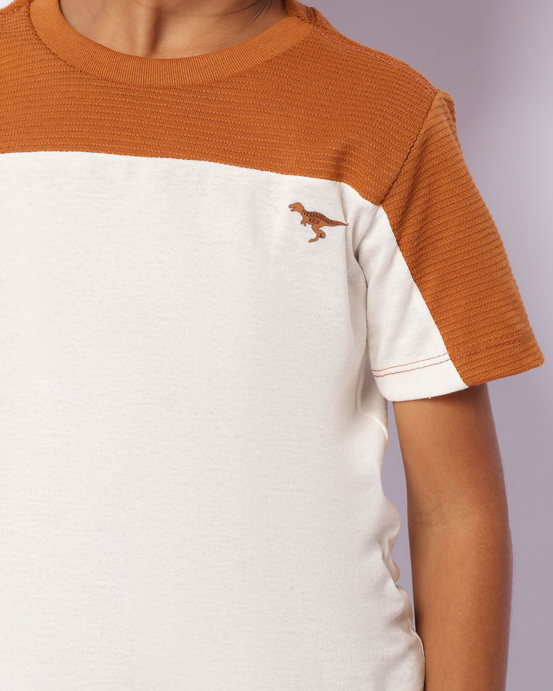 Camiseta-Fk286-Mc-M-410-Dino---Off-White