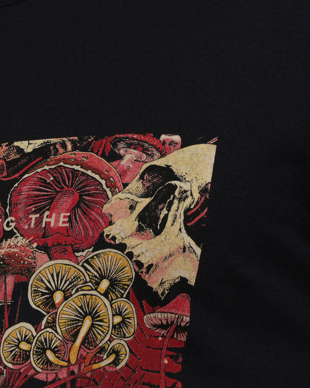 Camiseta-Caveira-Corrosao-Cog-801-P-Gg---Preto
