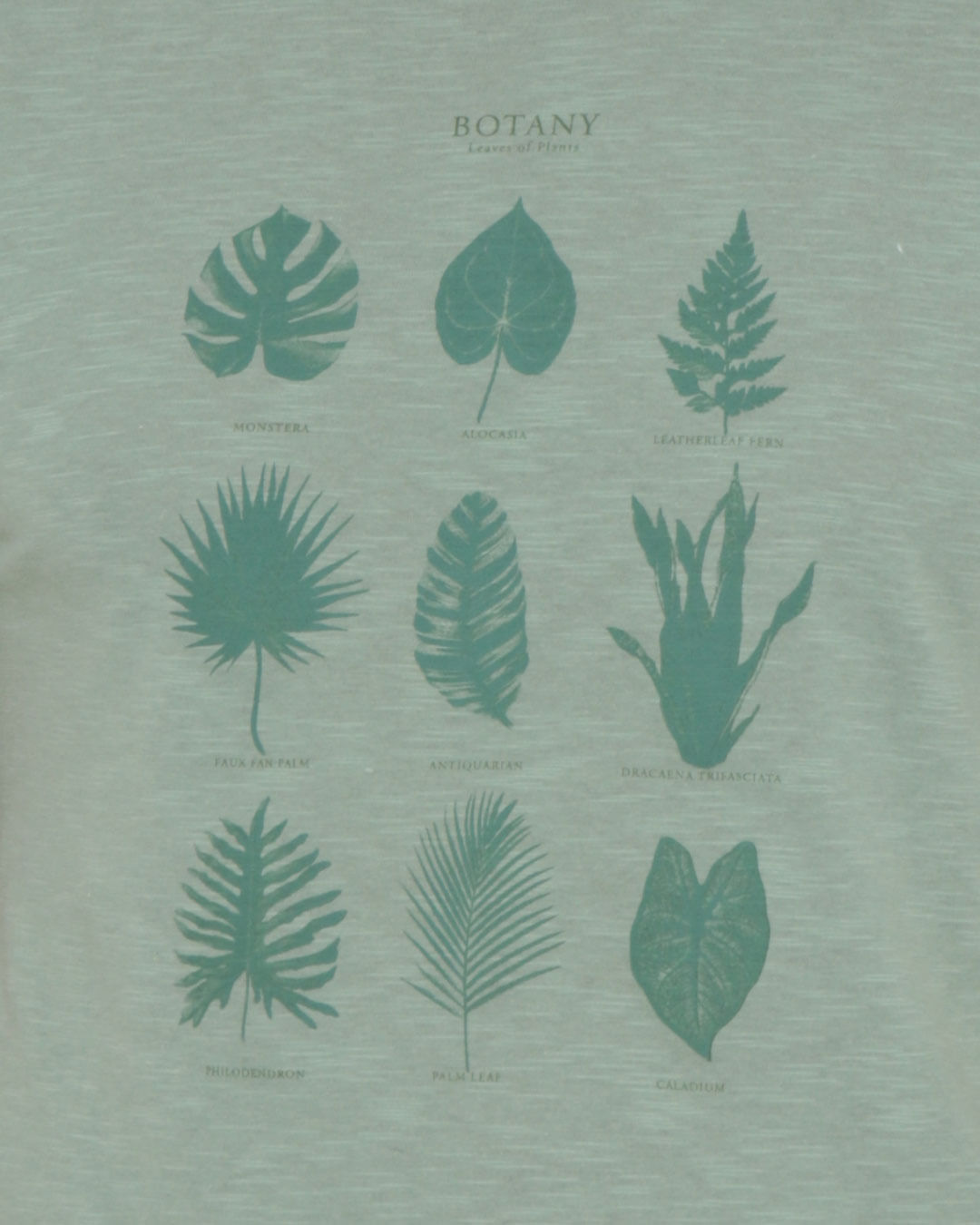 Camiseta-15122444--Flame-Verde-Pgg---Verde-Claro