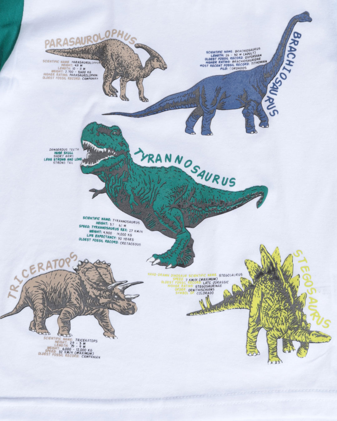 Camiseta-Ml-31238-Bicolor-Dino-M13---Branco