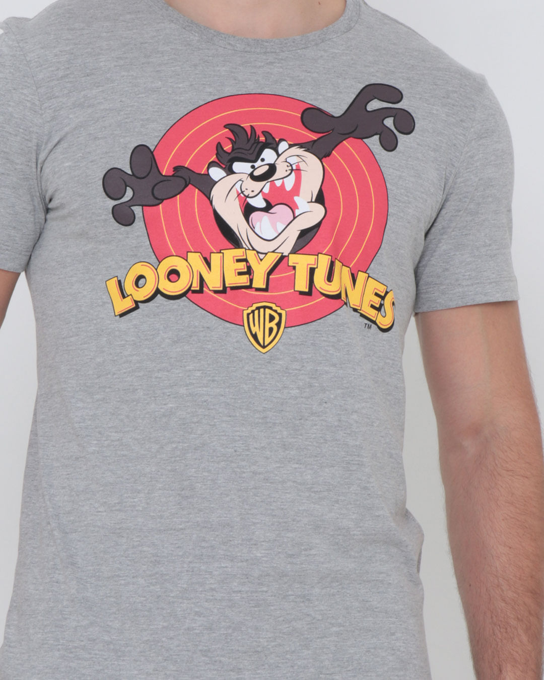 Camiseta-Trw121003-Looney-Tunes-Taz---Mescla-Claro