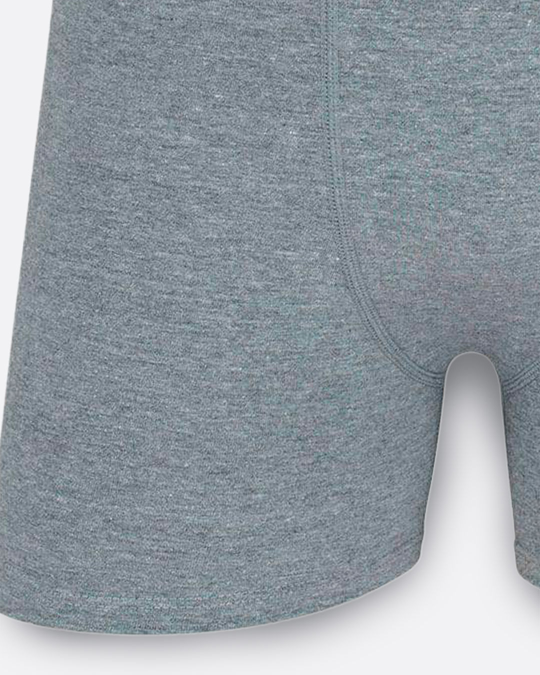 Cueca-Boxer-Alg-784-021---Cinza-Claro