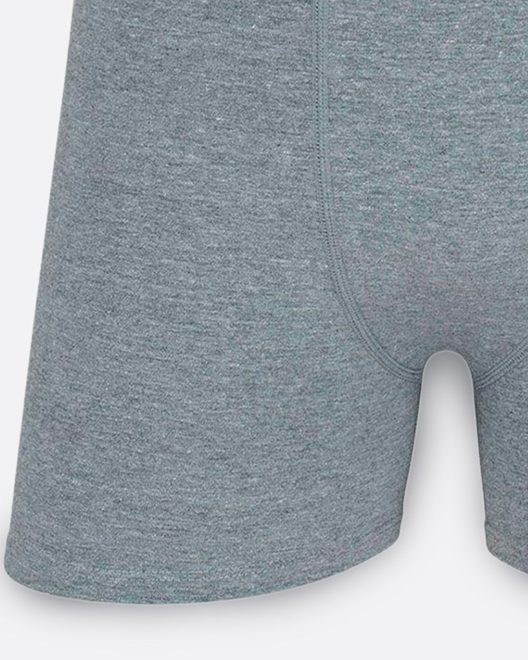 Cueca-Boxer-Alg-784-021---Cinza-Claro