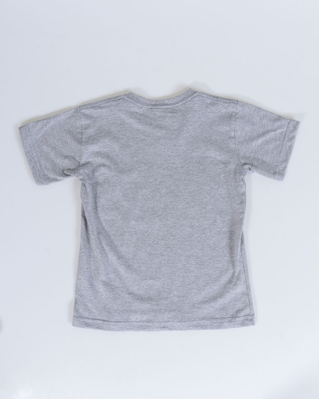 Camiseta-Mc-33516-Haranha-13---Cinza-Claro