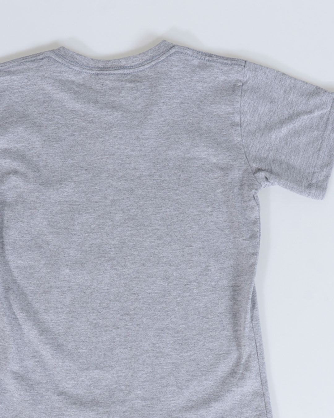 Camiseta-Mc-33516-Haranha-13---Cinza-Claro