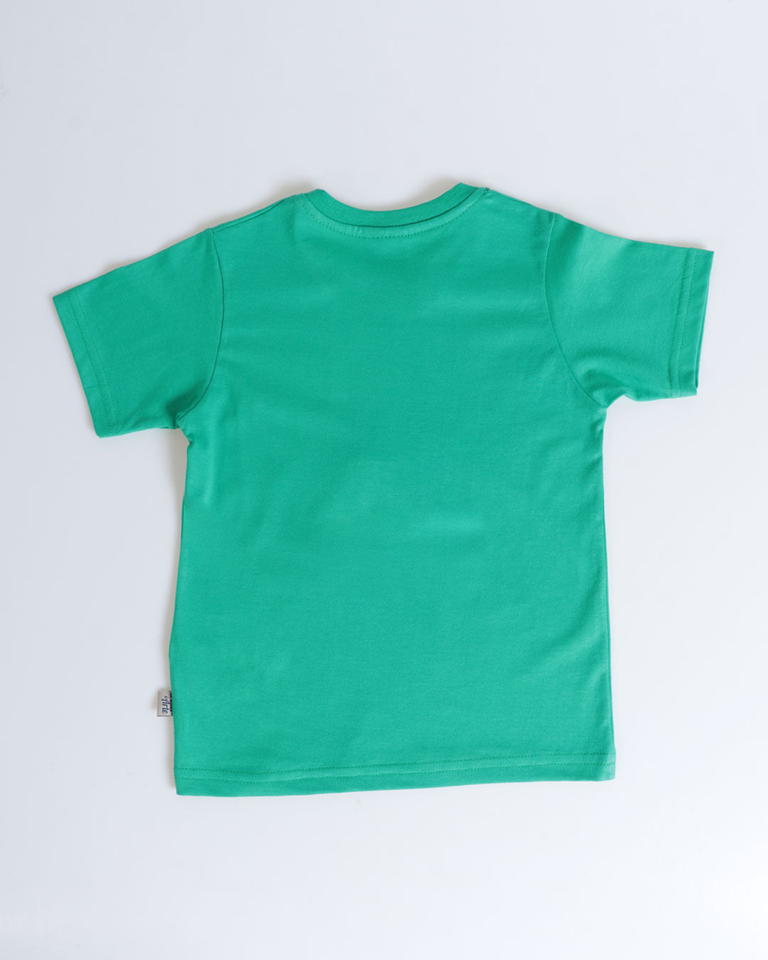 Conjunto-Mc-6694-Dino-Masc13---Verde-Medio