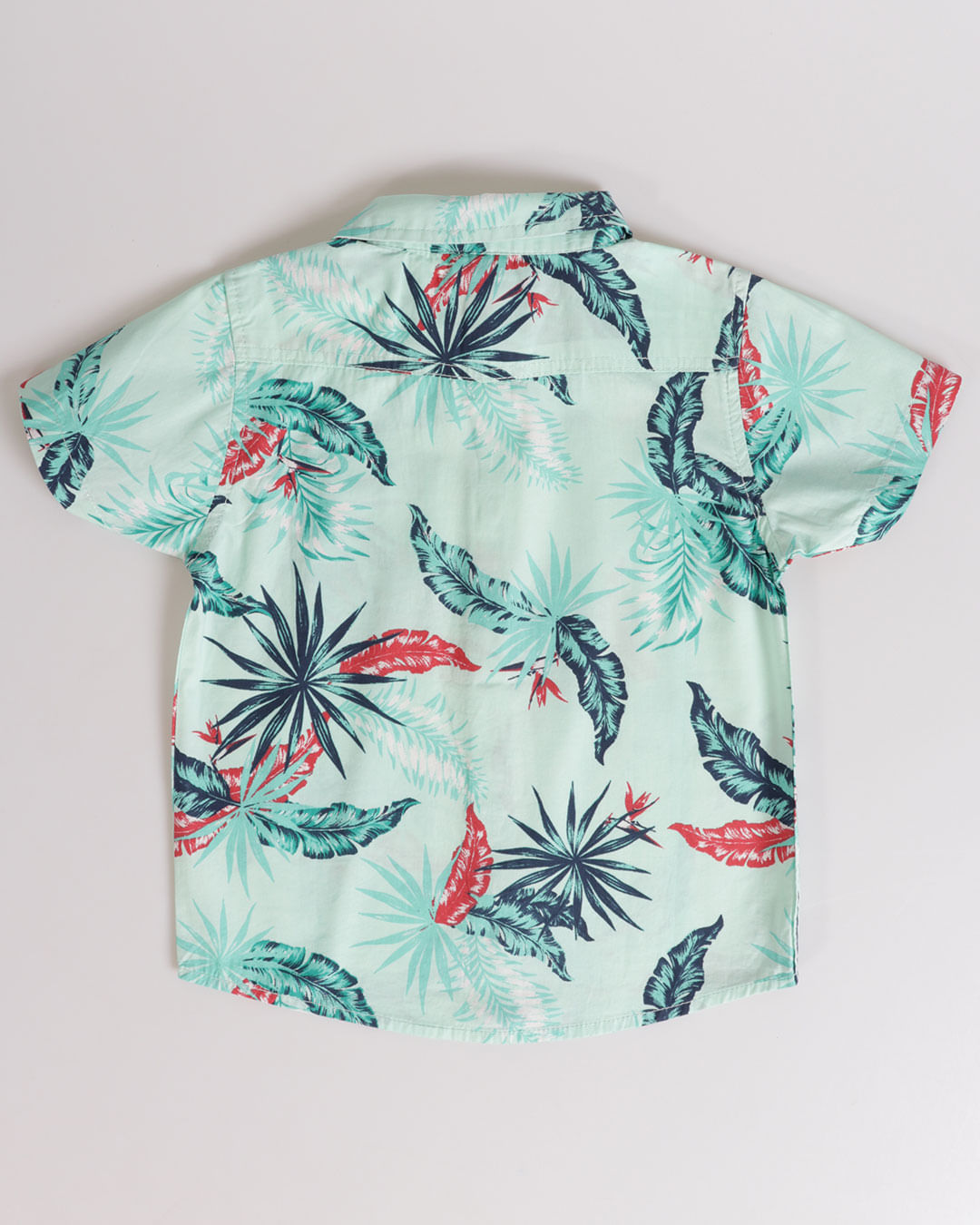 Camisa-3090201-Varias-Folhas-M13---Verde-Floral