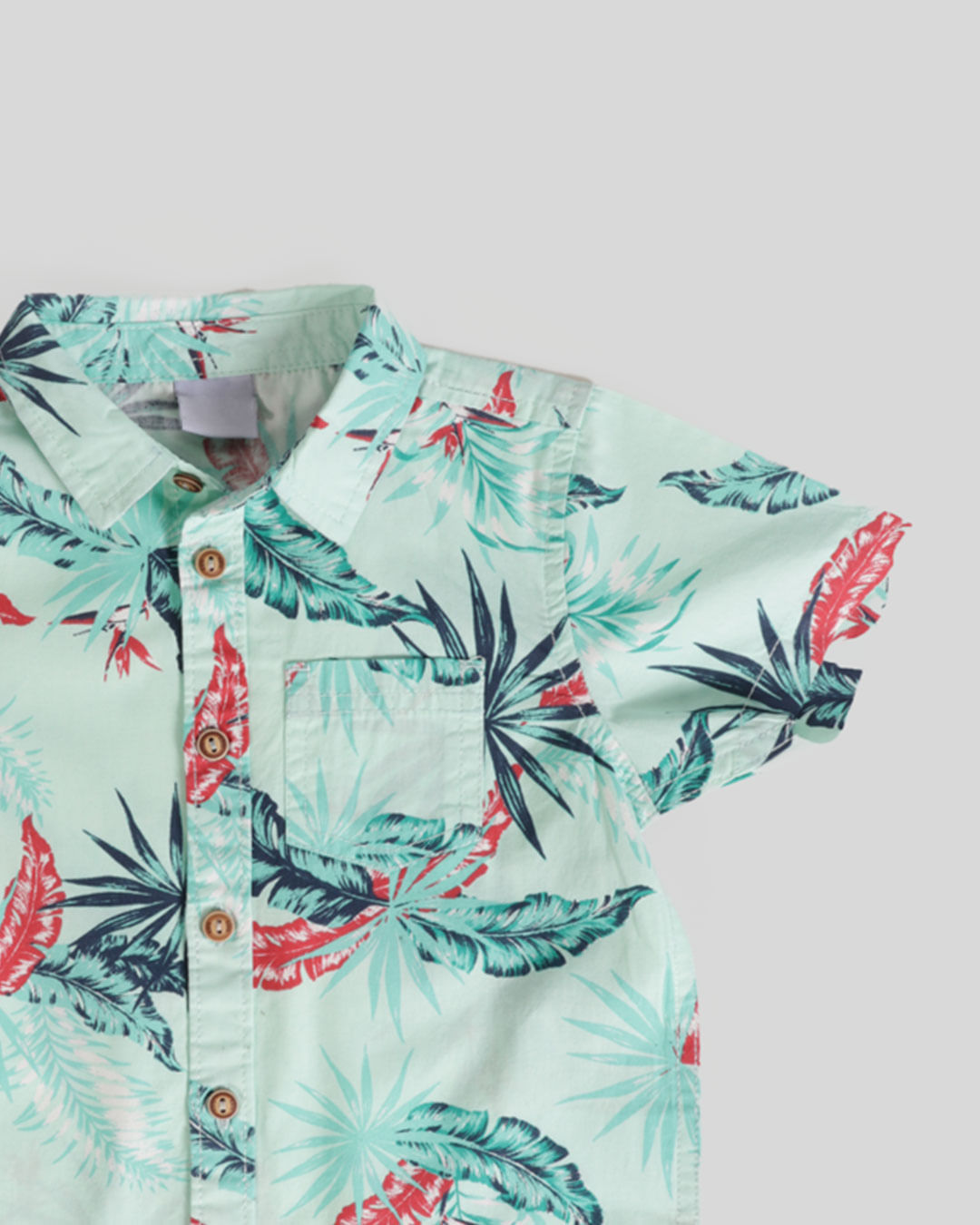 Camisa-3090201-Varias-Folhas-M13---Verde-Floral