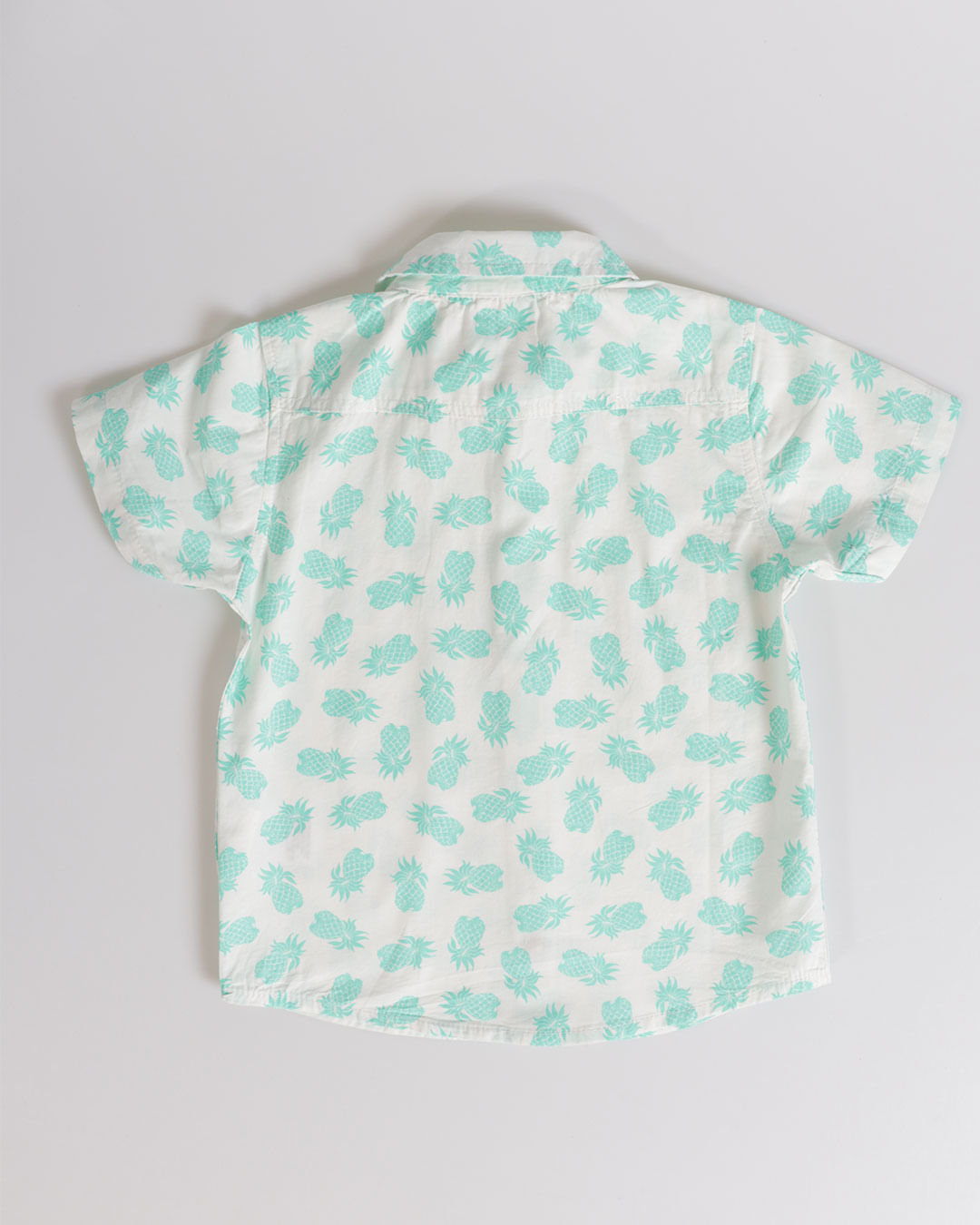 Camisa-3090041-Abacaxi-M13---Branco-Outros