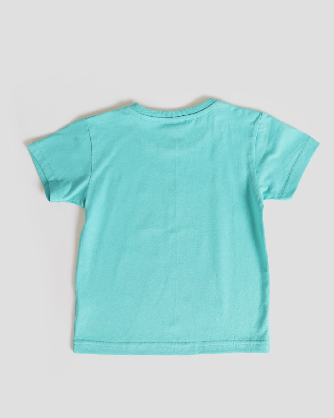 Camiseta-Mc-Ppo17-Urso--M13---Verde-Claro