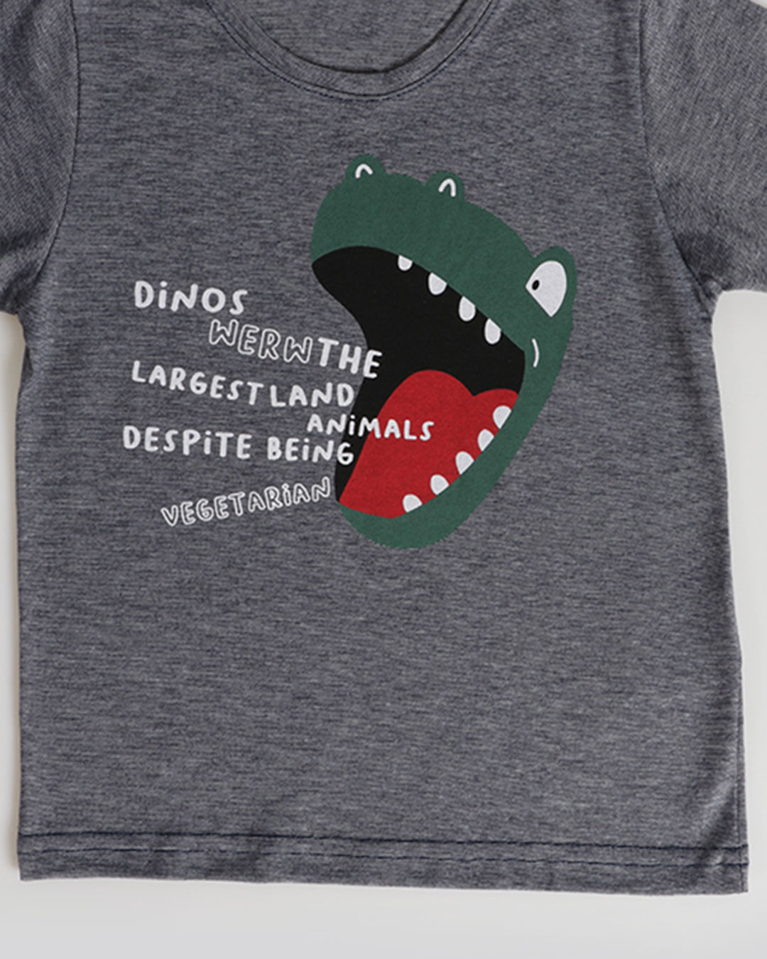 Camiseta-Mc-11501001-Dino--Mas13---Cinza-Medio