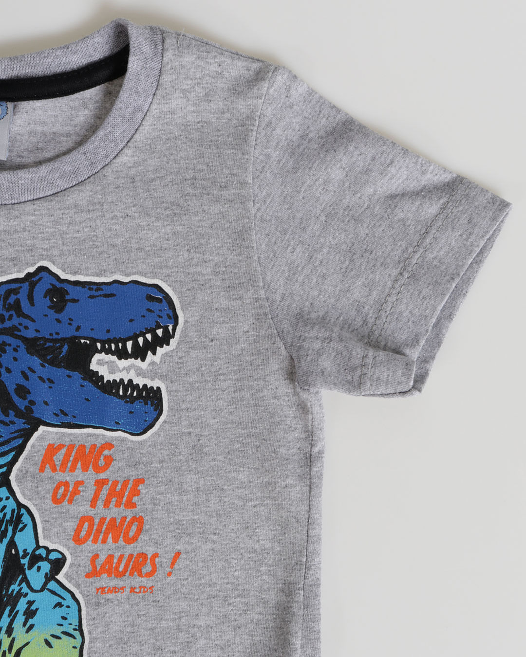 Camiseta-87-Dino-Masc13---Cinza-Claro