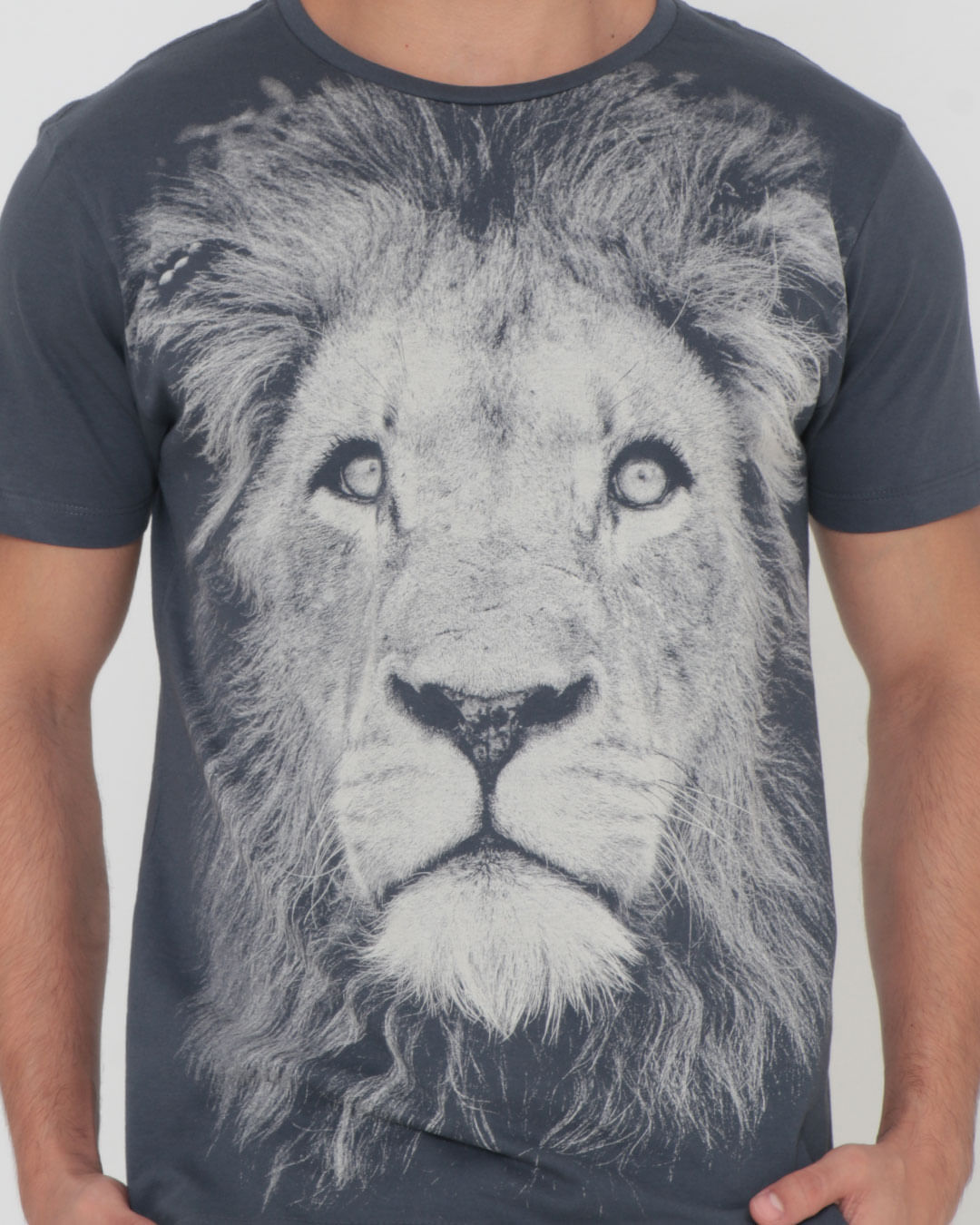 Camiseta-30689-Leao-Pgg---Cinza-Medio