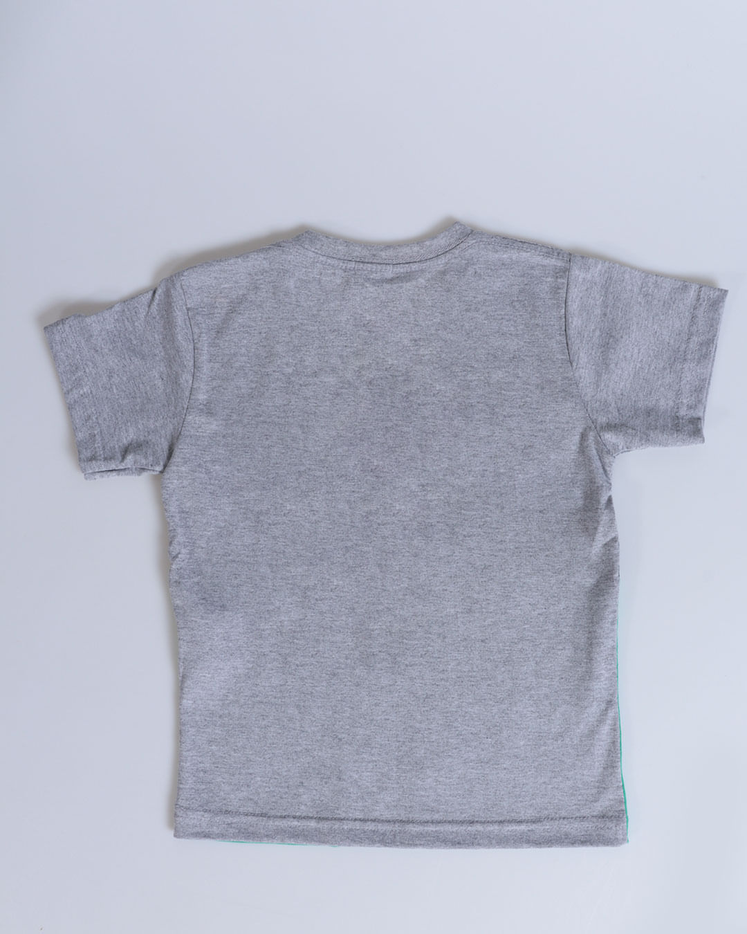 Camiseta-Mc-T35145--Dino--Masc-13---Cinza-Claro