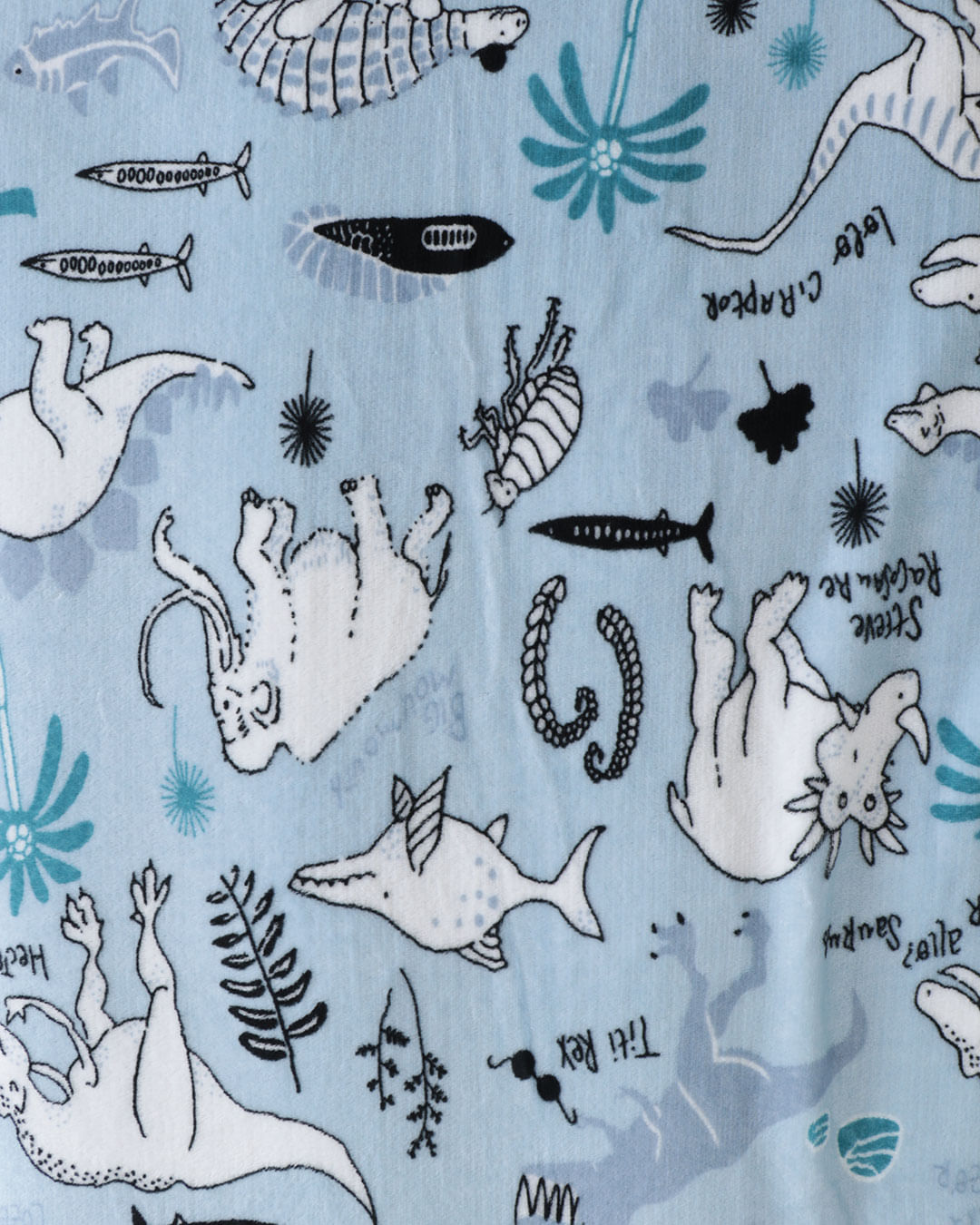 Manta-Infantil-Flannel-Dino-Happy-A---Azul-Claro
