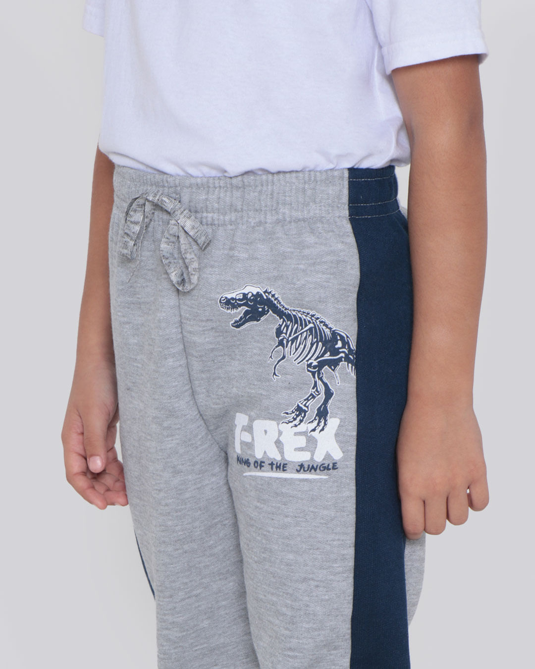 Calca-T35311-Mol-M-48-Dino---Cinza-Claro
