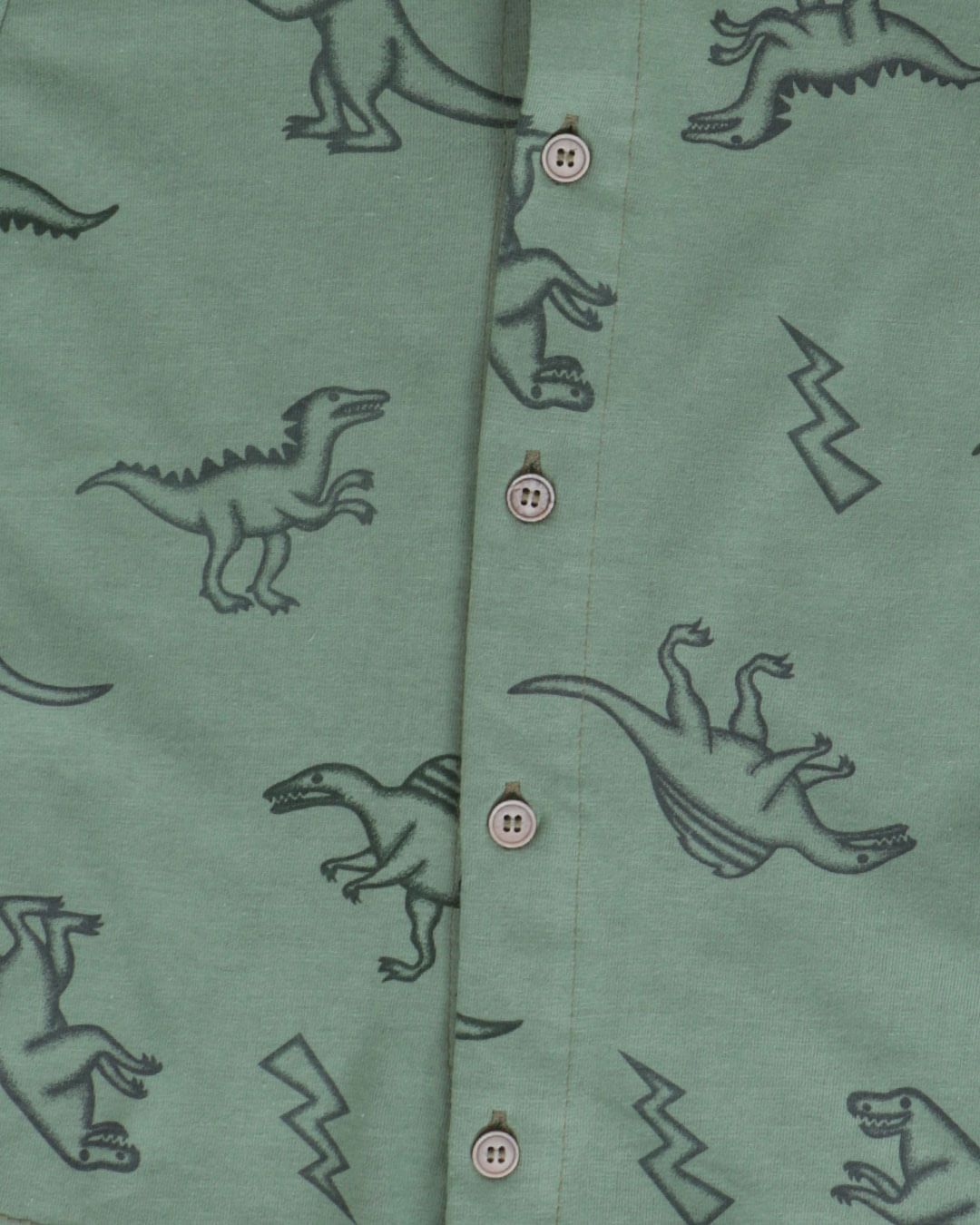 Camisa-Mc-Dino--A6693-Masc-13---Verde-Medio
