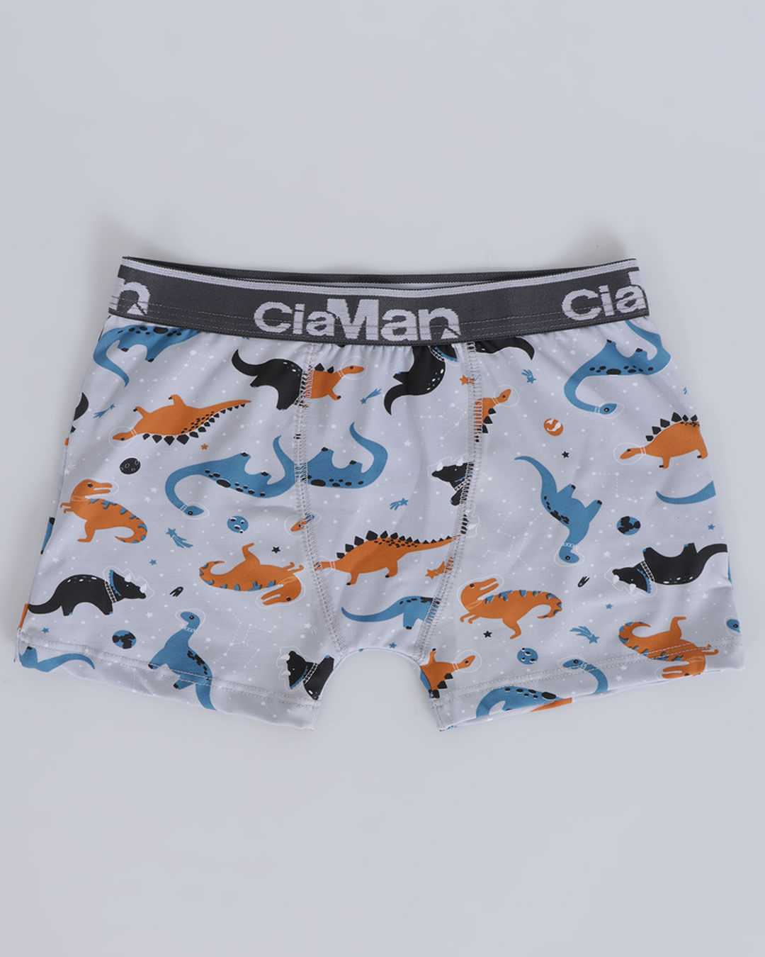 Cueca-Estampada-Sortido-Info-410---Cinza-Outros