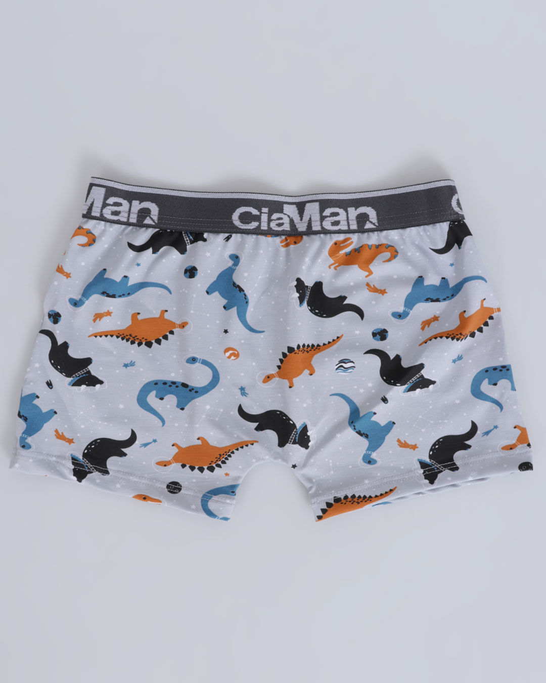 Cueca-Estampada-Sortido-Info-410---Cinza-Outros
