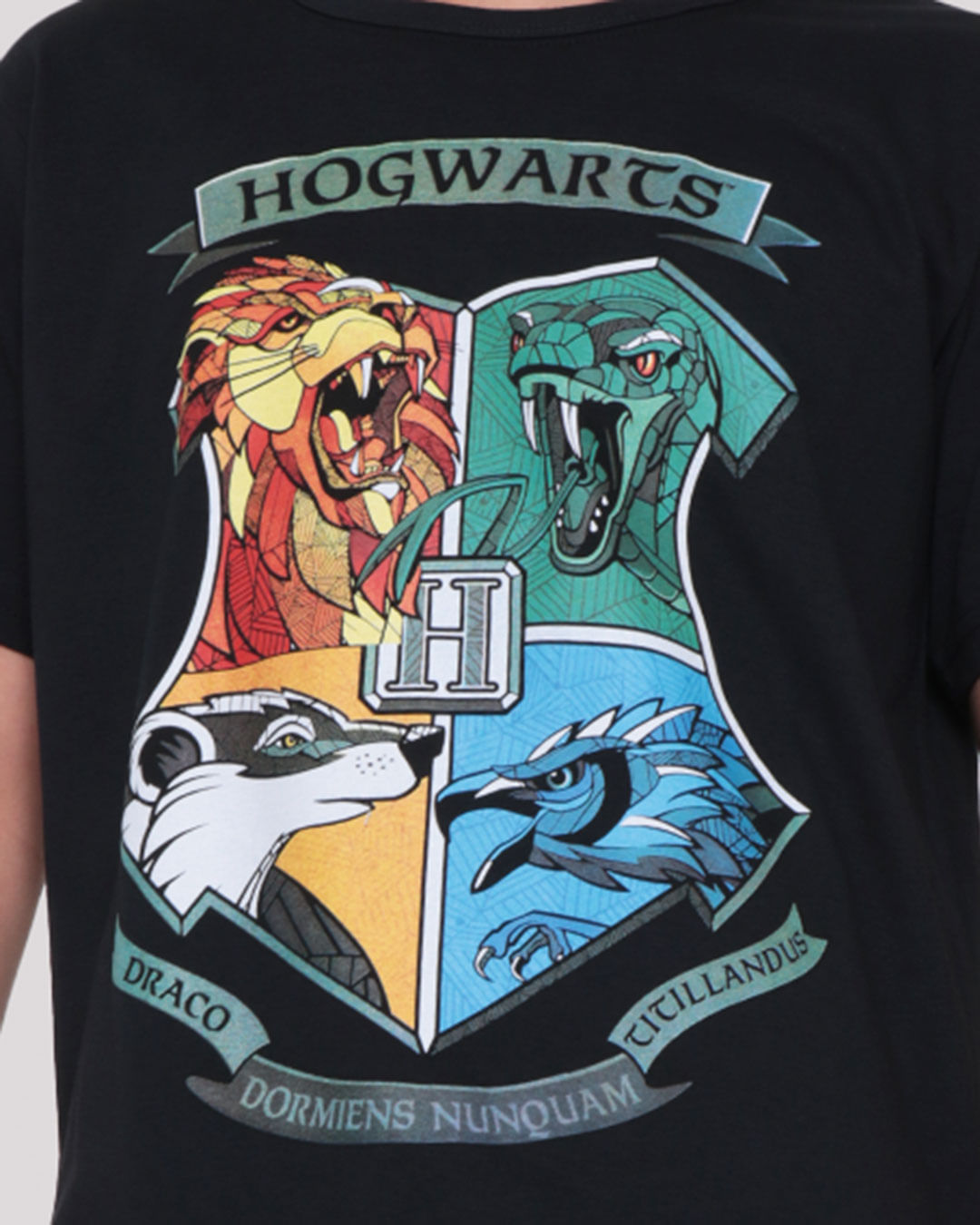Camiseta-T36771-Mc-M-1016-Harry-Potter---Preto