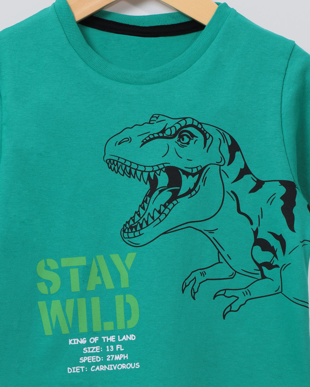 Camiseta-Mc-Z103-Dino-Masc13---Verde-Outros