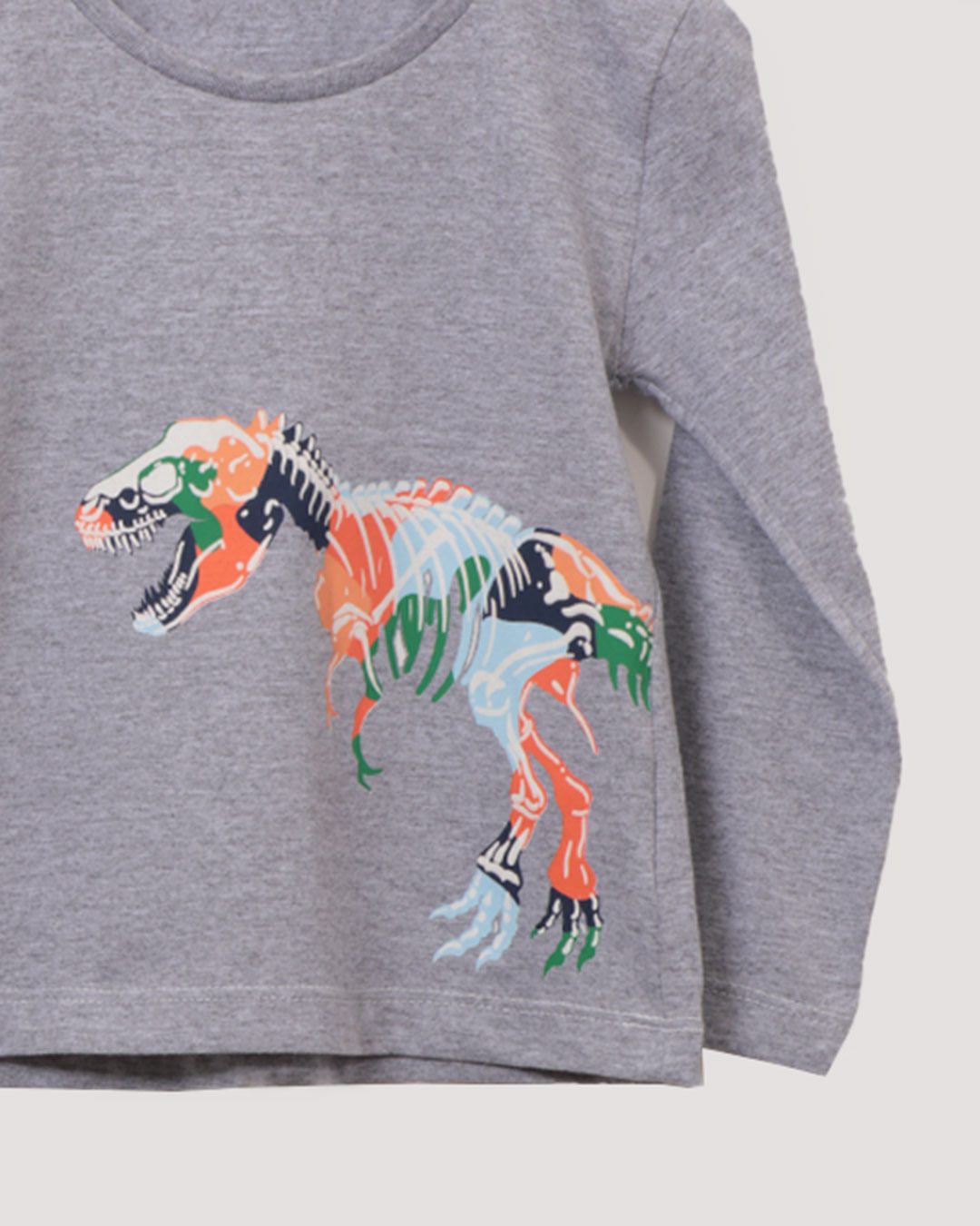 Camiseta-Ml-03260057-Dino-Mas13---Mescla-Medio