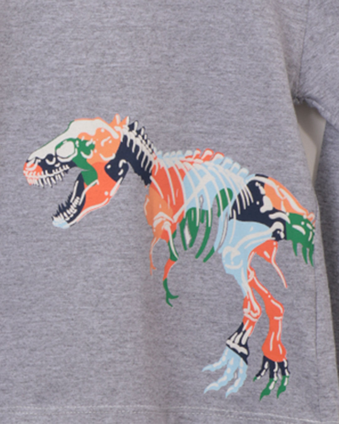 Camiseta-Ml-03260057-Dino-Mas13---Mescla-Medio