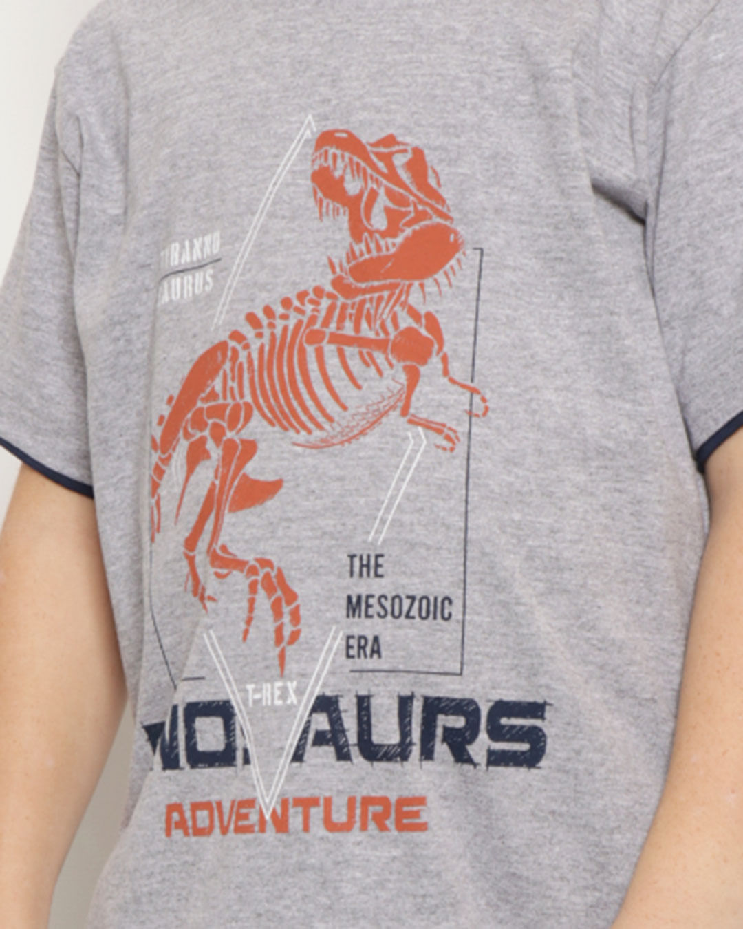 Camiseta-T36956-Mc-M-410-Dino---Mescla-Claro