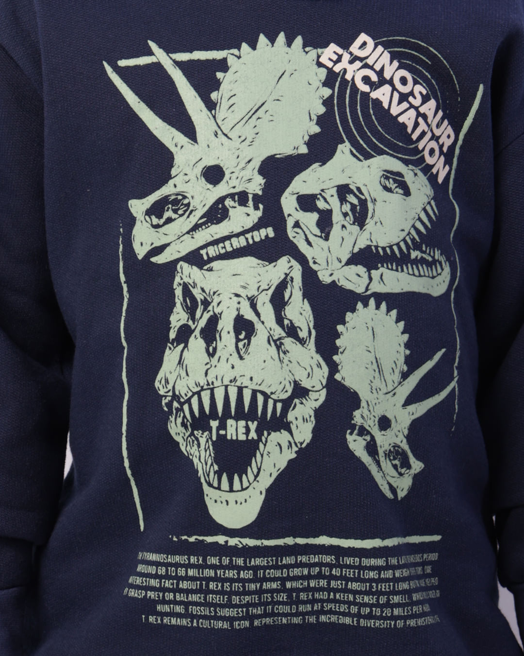 Blusa-T42163-Mol-Fc-Cp-M-410-Dino---Marinho