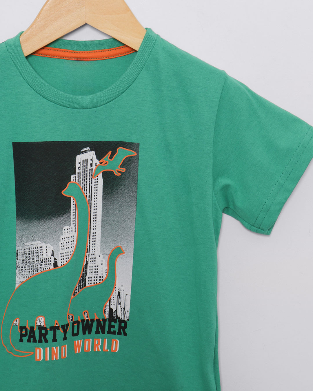Camiseta-Mc--T38554-Dino-Masc-13---Verde-Medio